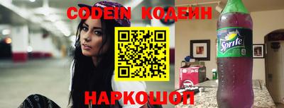 стафф Дубна