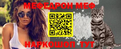 стафф Дубна