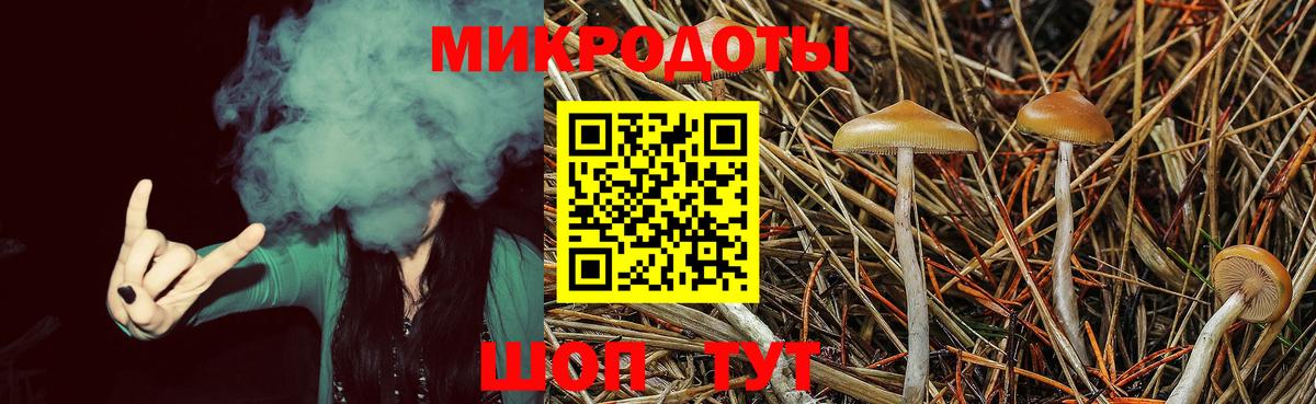 Псилоцибиновые грибы Psilocybe  Вход с VPN  Майкоп 