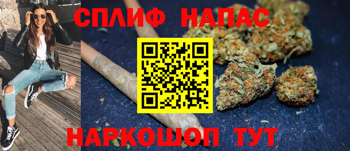 Канабис гибрид Майкоп